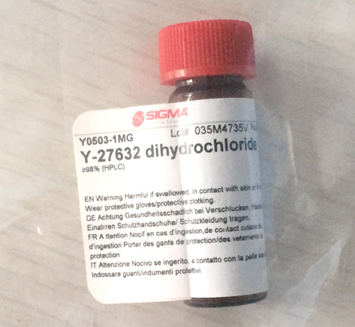 Y0503-1MG                                                                               &nbsp;                                                                                                                                                                                                                                          ROCK inhibitor y-27632&nbsp;&nbsp;                                                                                 品牌                                                                                                                                                         Sigma